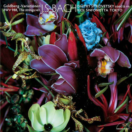 快手露出走光福利视频
